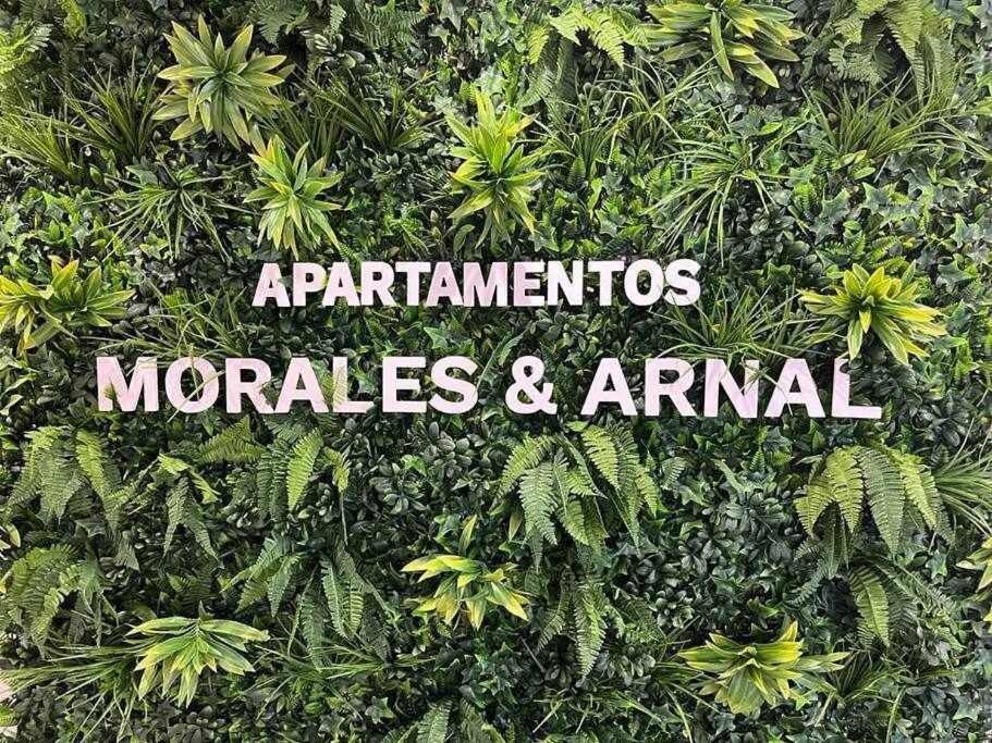 XX D Apartamentos Morales & Arnal 龙达 外观 照片